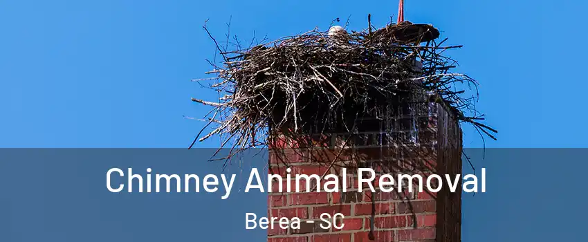  Chimney Animal Removal Berea - SC