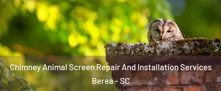  Chimney Animal Screen Repair And Installation Services Berea - SC