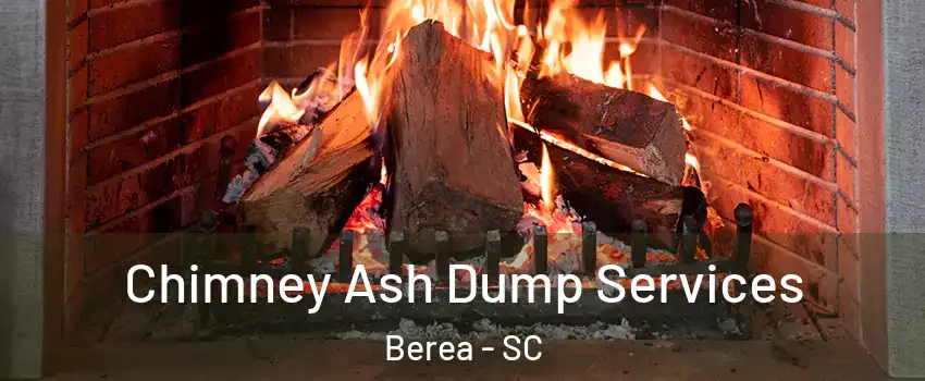  Chimney Ash Dump Services Berea - SC