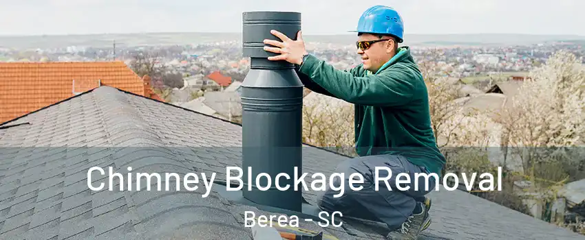  Chimney Blockage Removal Berea - SC