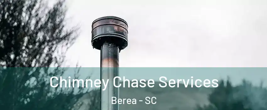  Chimney Chase Services Berea - SC