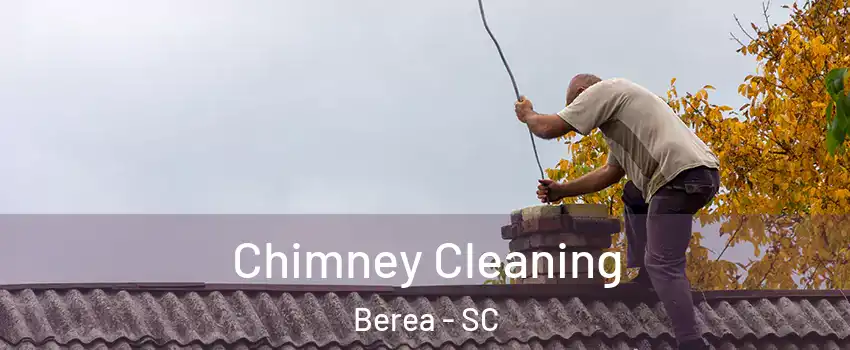  Chimney Cleaning Berea - SC