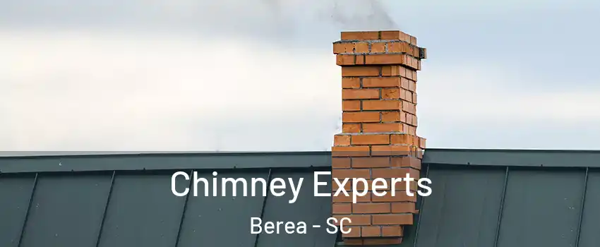 Chimney Experts Berea - SC
