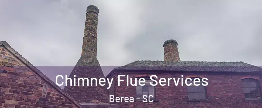  Chimney Flue Services Berea - SC