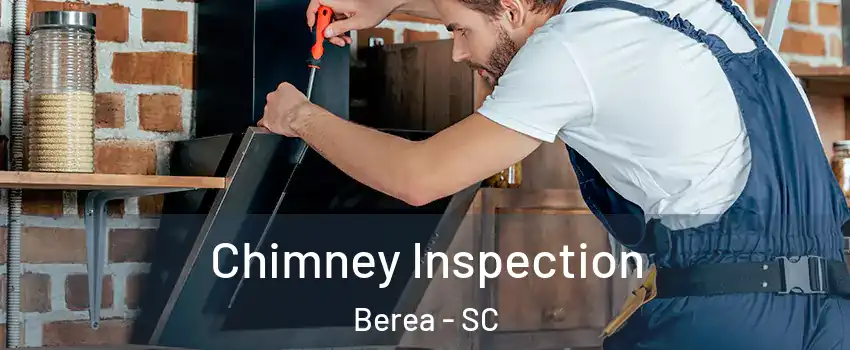  Chimney Inspection Berea - SC