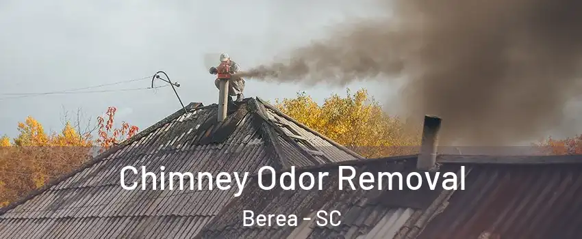  Chimney Odor Removal Berea - SC