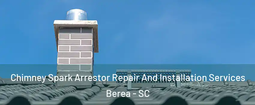  Chimney Spark Arrestor Repair And Installation Services Berea - SC