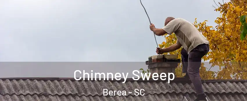  Chimney Sweep Berea - SC