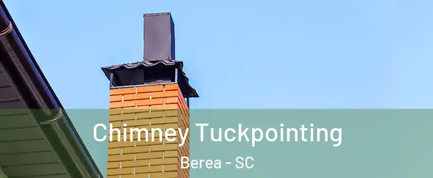  Chimney Tuckpointing Berea - SC