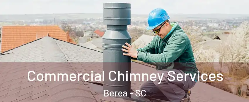  Commercial Chimney Services Berea - SC