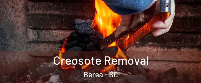  Creosote Removal Berea - SC