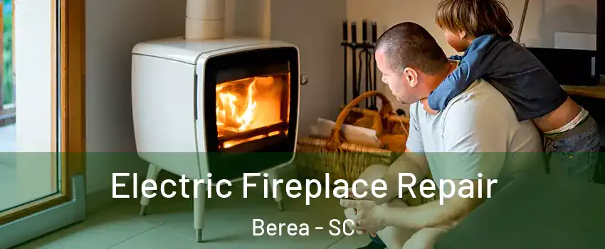  Electric Fireplace Repair Berea - SC