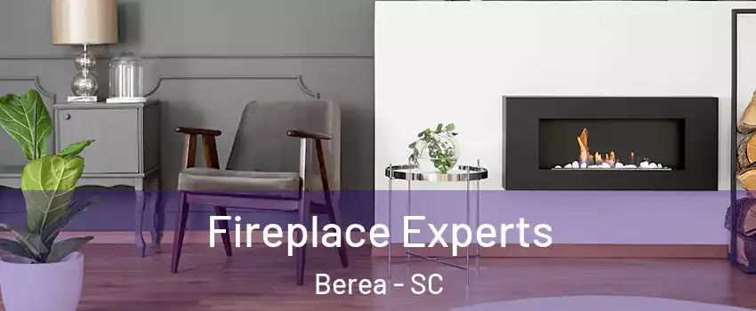  Fireplace Experts Berea - SC