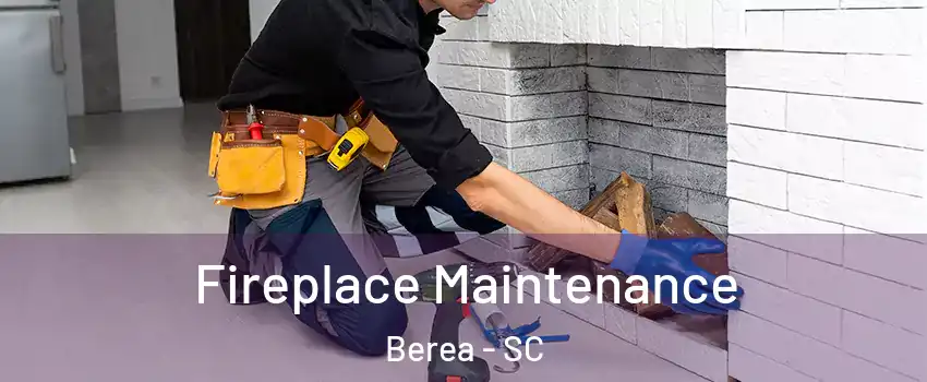  Fireplace Maintenance Berea - SC