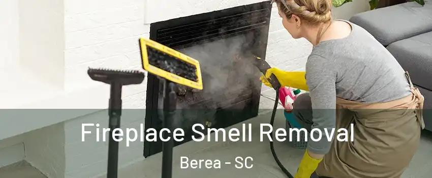 Fireplace Smell Removal Berea - SC