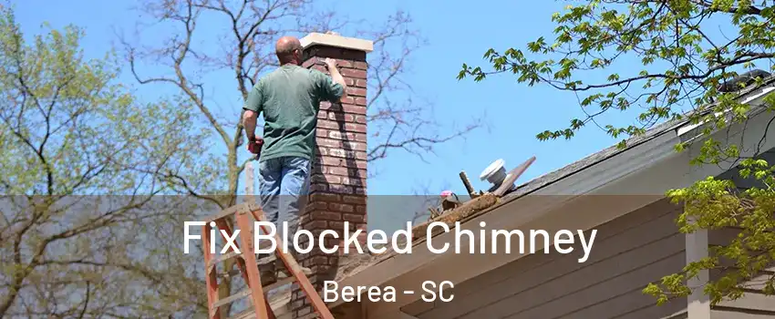  Fix Blocked Chimney Berea - SC