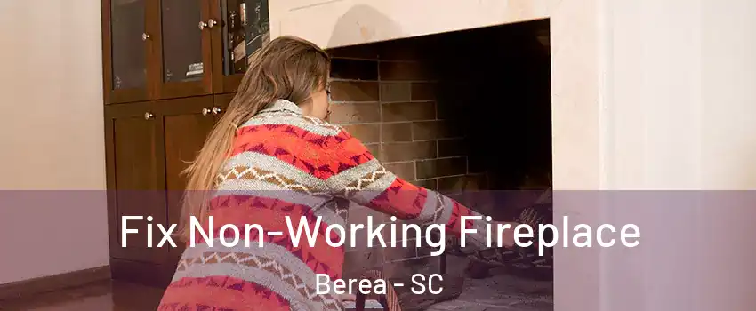  Fix Non-Working Fireplace Berea - SC