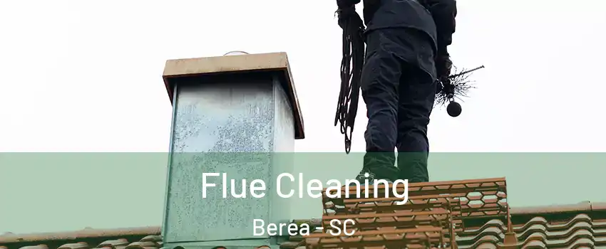  Flue Cleaning Berea - SC