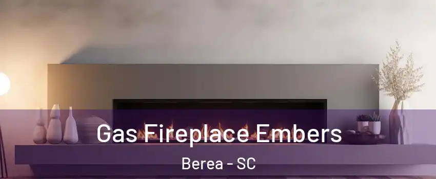  Gas Fireplace Embers Berea - SC