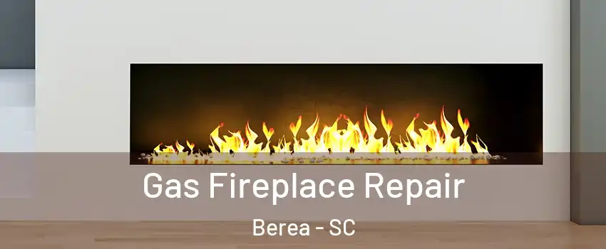  Gas Fireplace Repair Berea - SC