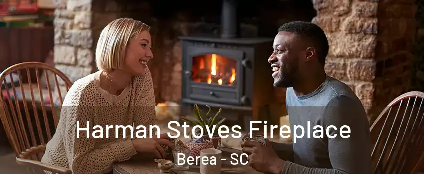  Harman Stoves Fireplace Berea - SC