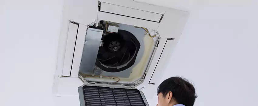 Benefits of Professional Air Duct Cleaning in Berea, South Carolina