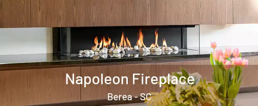  Napoleon Fireplace Berea - SC