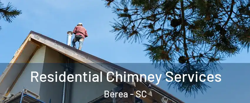  Residential Chimney Services Berea - SC
