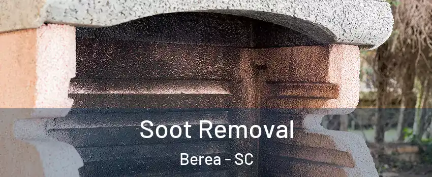  Soot Removal Berea - SC